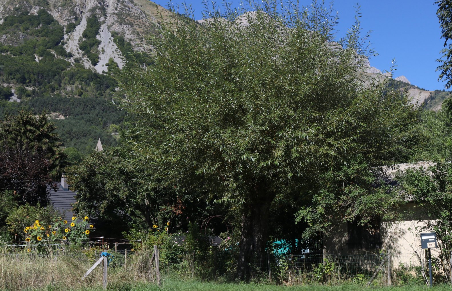 Vue générale du village — vue actuelle